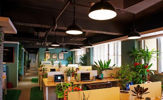 2016120272872241.jpg 2016120272872241.jpg